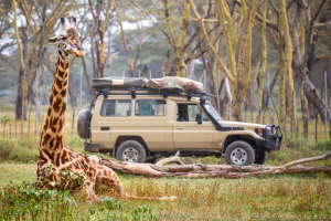 Zimbabwe's True Wildroutes Safari Tour Packages